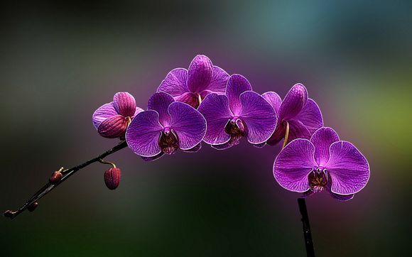 张雨生最好听的歌，张雨生最好听的歌曲有哪些